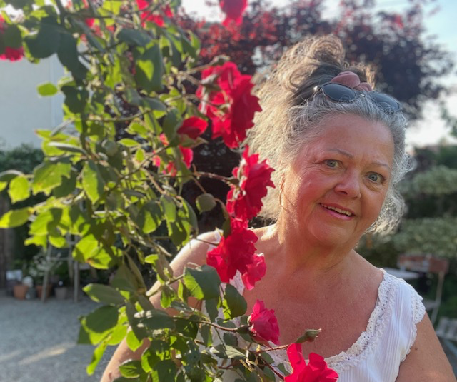 Cachée près du rosier rouge